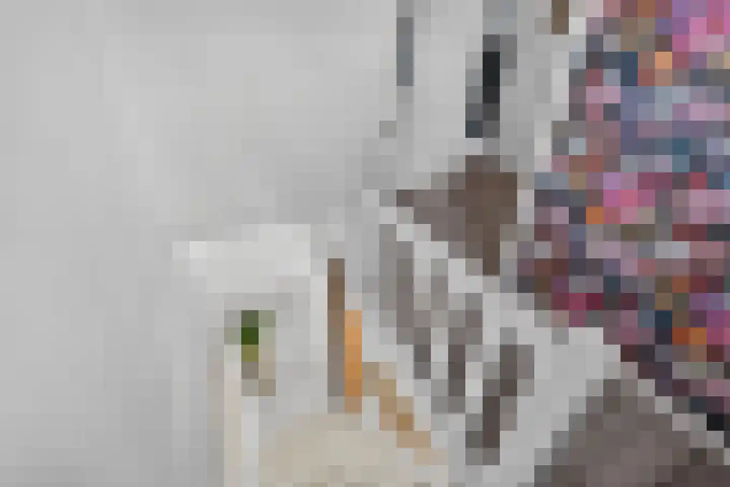 Langeweg 35 Oude-Tonge thumbnail 19