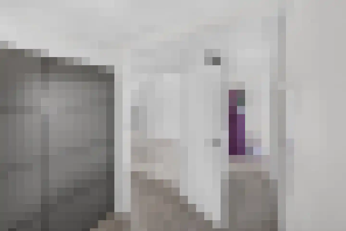 Langeweg 35 Oude-Tonge thumbnail 20