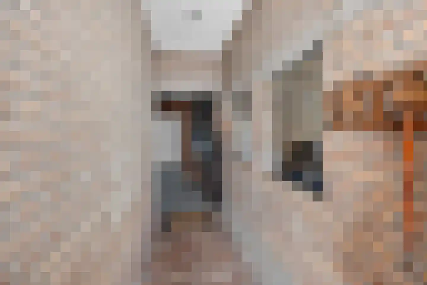 Langeweg 35 Oude-Tonge thumbnail 27