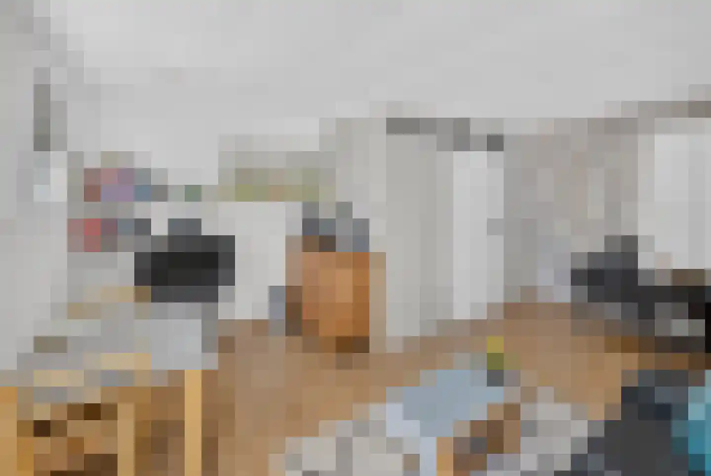 Langeweg 35 Oude-Tonge thumbnail 30