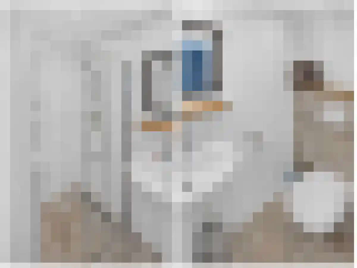 Langeweg 35 Oude-Tonge thumbnail 32