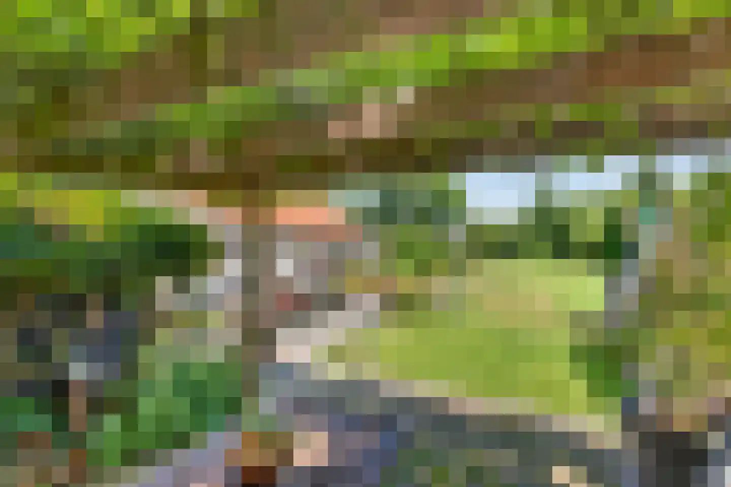 Langeweg 35 Oude-Tonge thumbnail 37