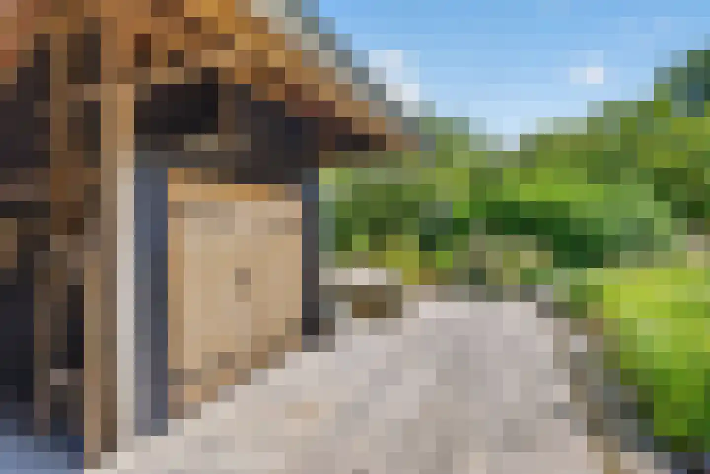Langeweg 35 Oude-Tonge thumbnail 41