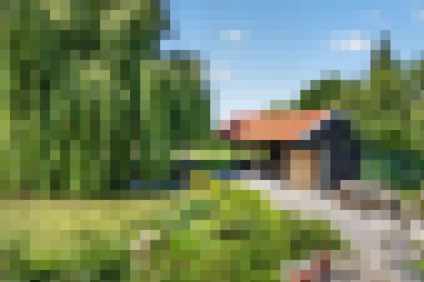 Langeweg 35 Oude-Tonge thumbnail 42