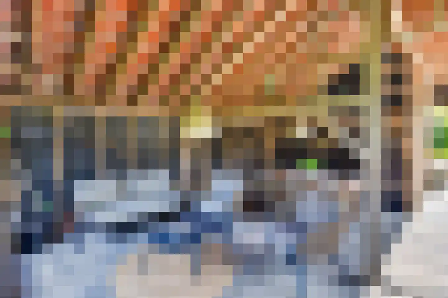 Langeweg 35 Oude-Tonge thumbnail 44