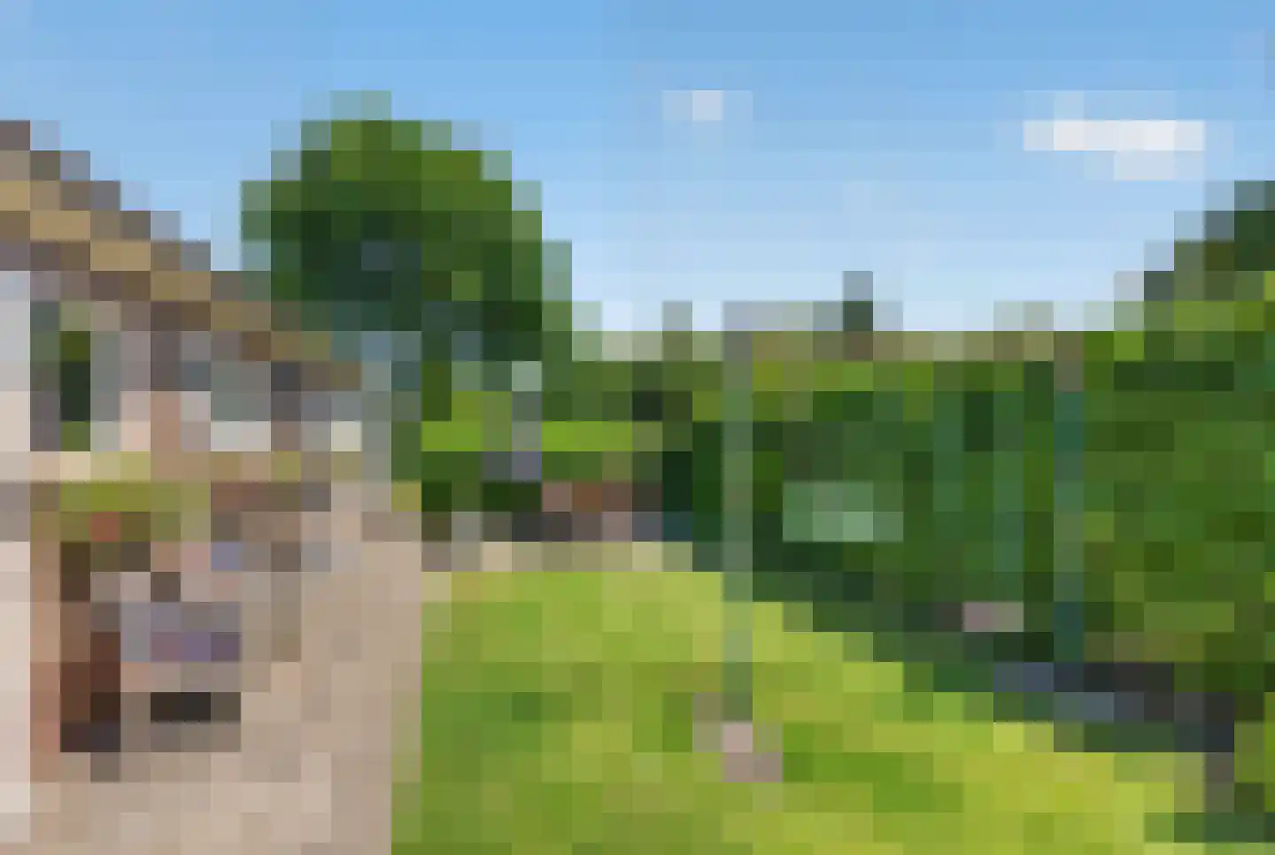 Langeweg 35 Oude-Tonge thumbnail 47