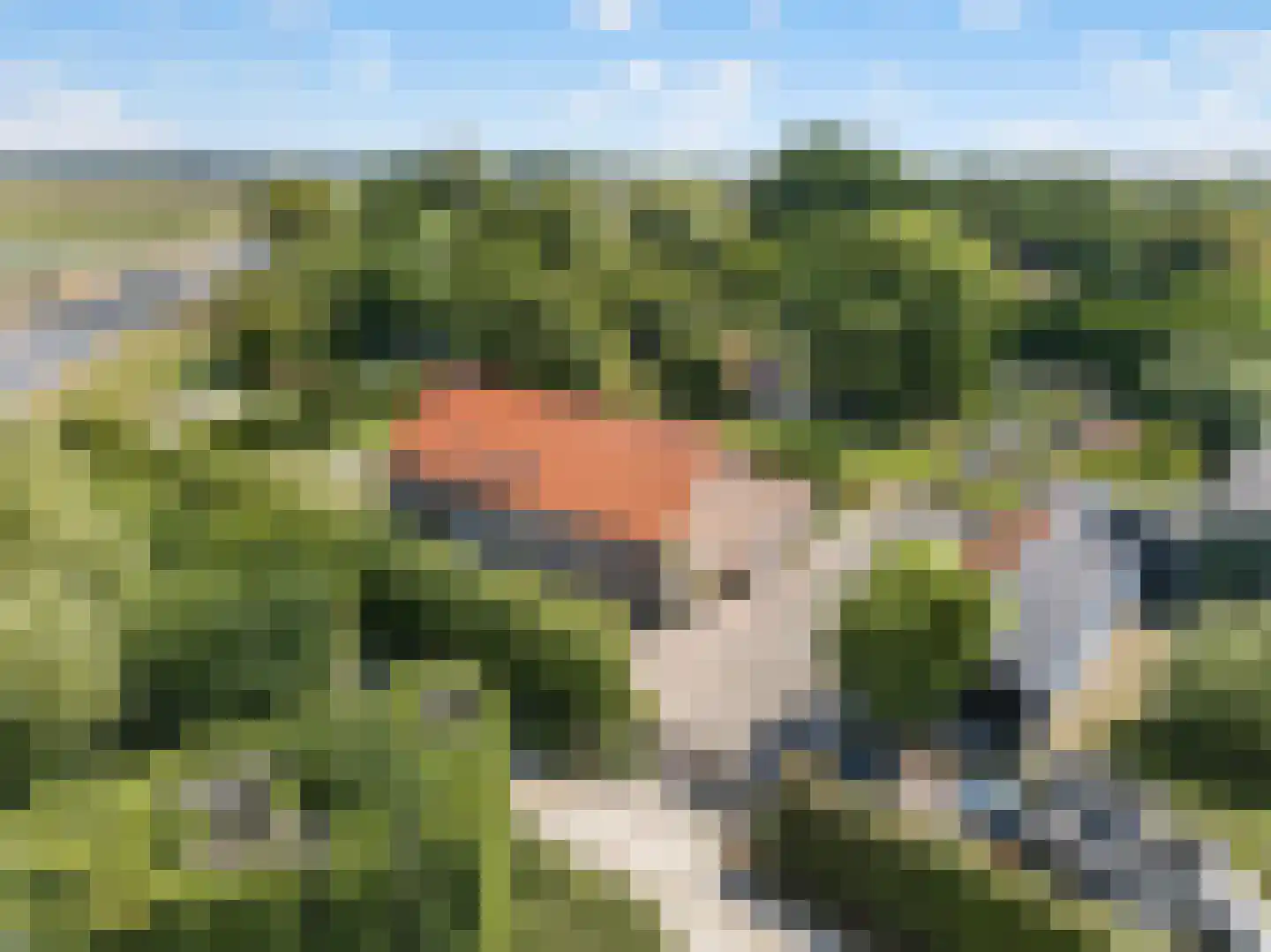 Langeweg 35 Oude-Tonge thumbnail 49