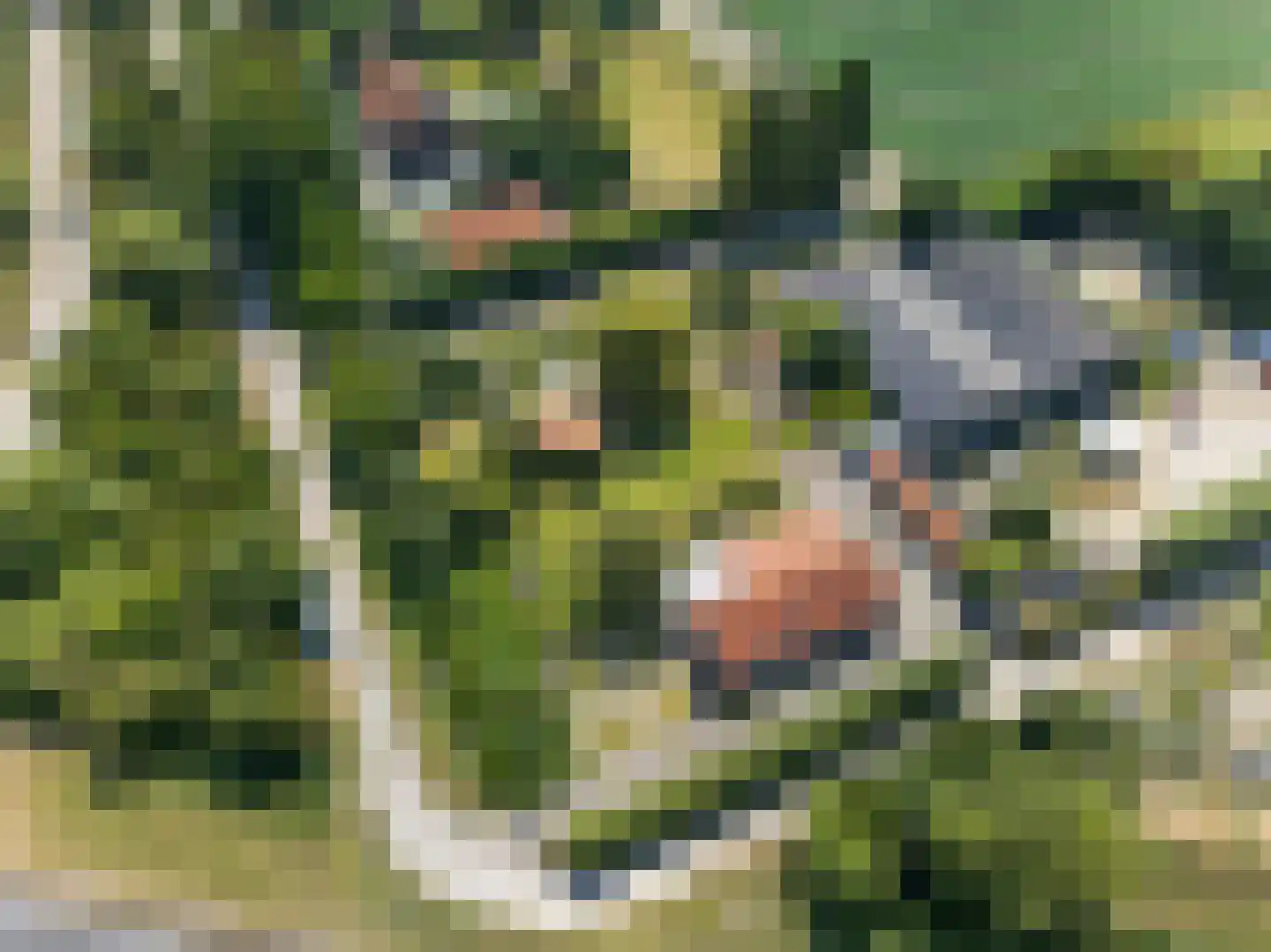 Langeweg 35 Oude-Tonge thumbnail 50