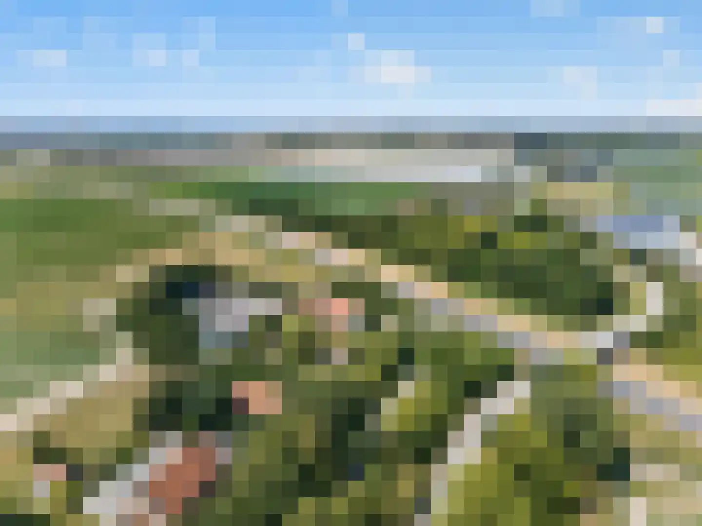 Langeweg 35 Oude-Tonge thumbnail 51