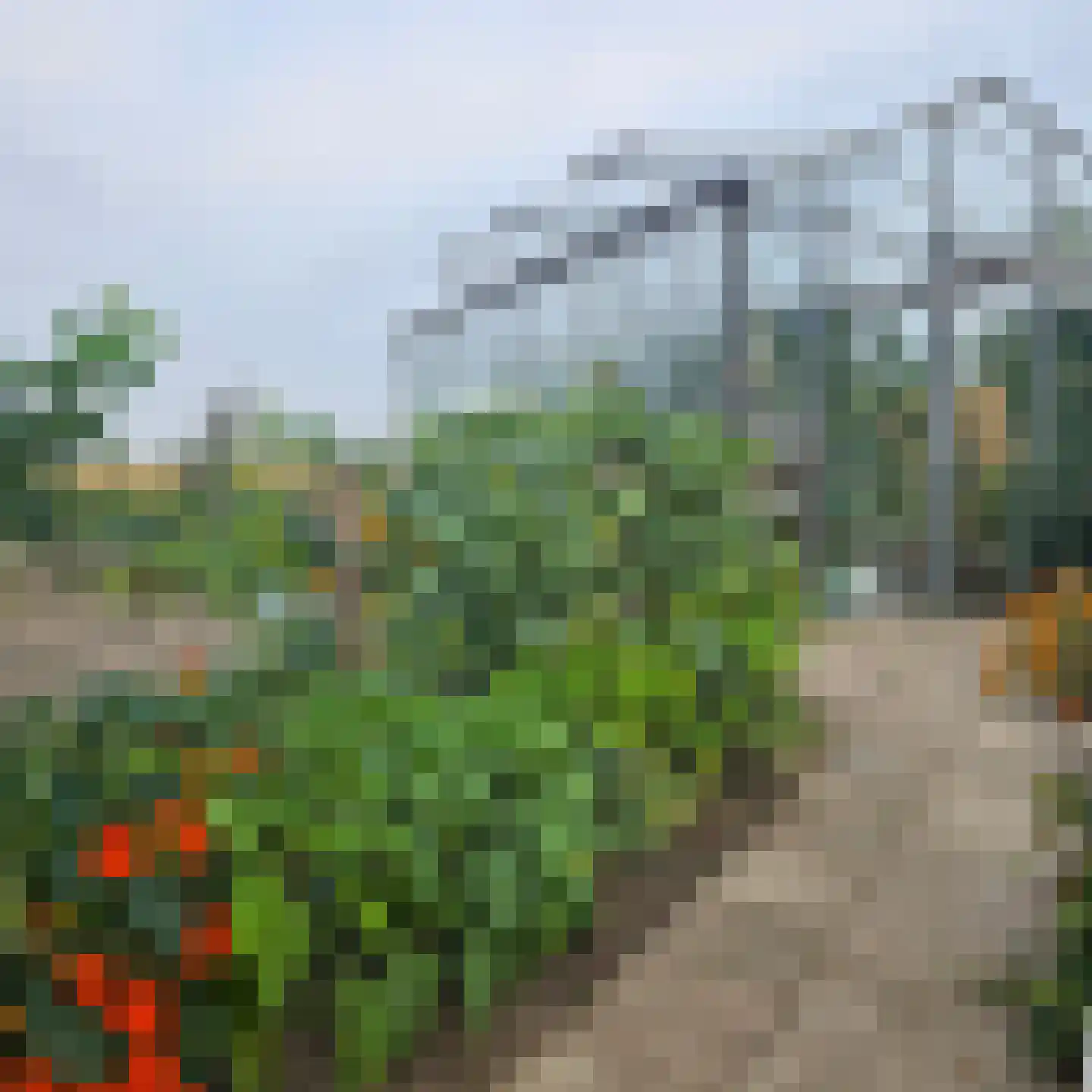 Langeweg 35 Oude-Tonge thumbnail 55