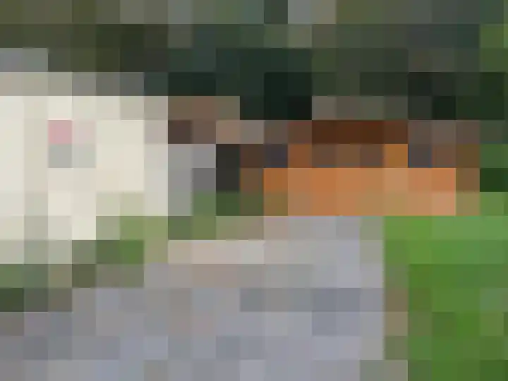 Langeweg 35 Slootdorp thumbnail 21