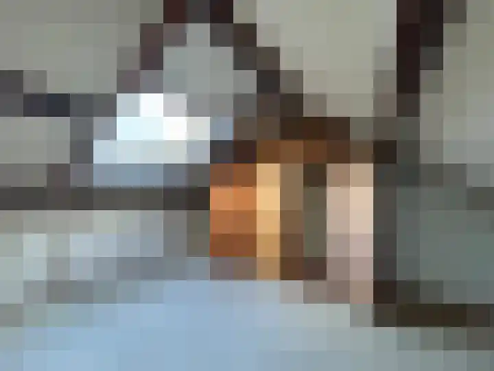 Langeweg 35 Slootdorp thumbnail 39
