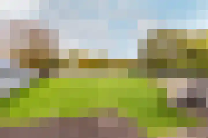 Langeweg 38 Haaren thumbnail 47