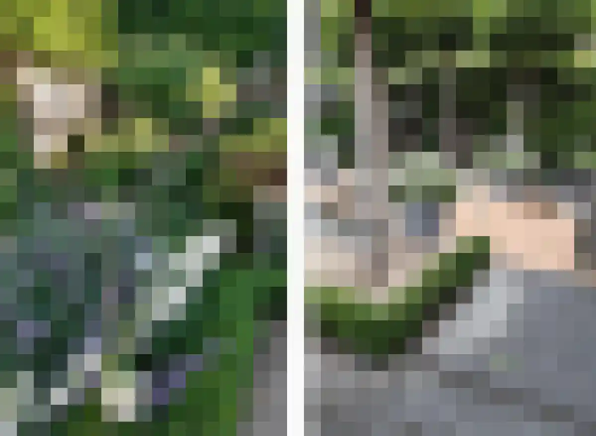 Langeweg 39 's-Gravenpolder thumbnail 44