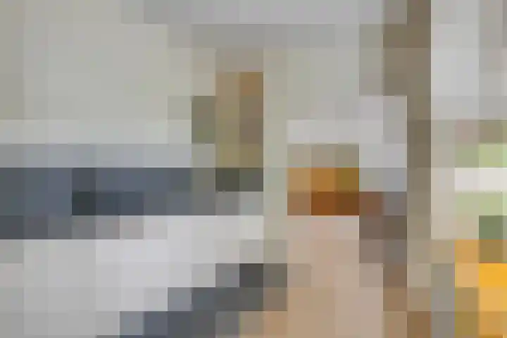 Langeweg 4 Zuidland thumbnail 11
