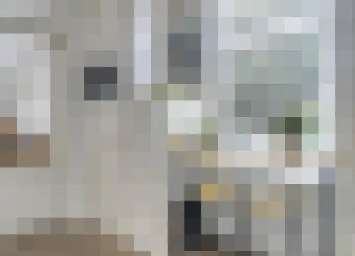 Langeweg 4 Zuidland thumbnail 12