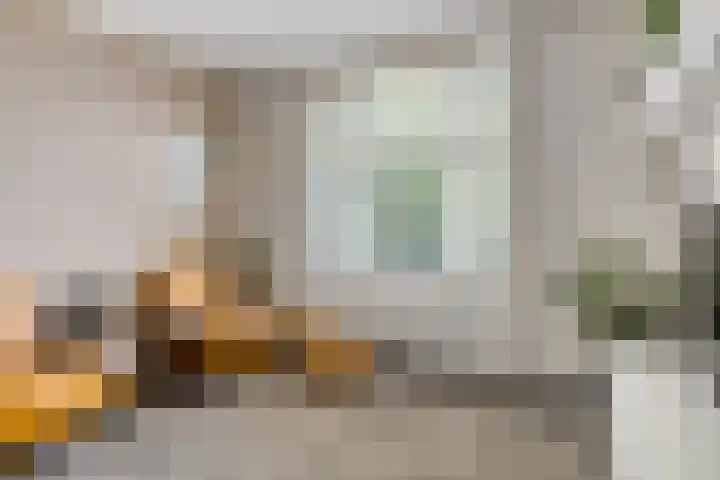 Langeweg 4 Zuidland thumbnail 16