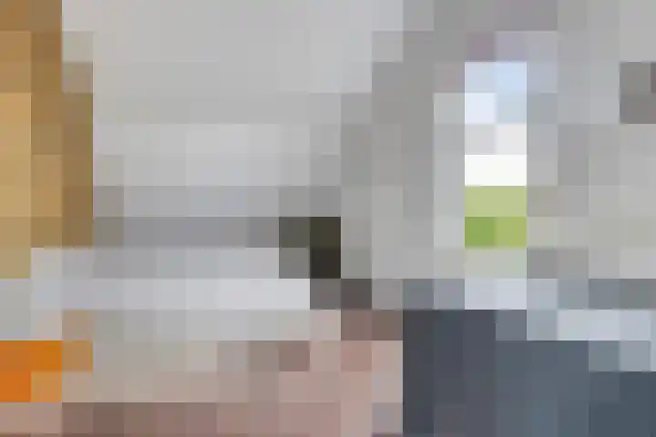 Langeweg 4 Zuidland thumbnail 18