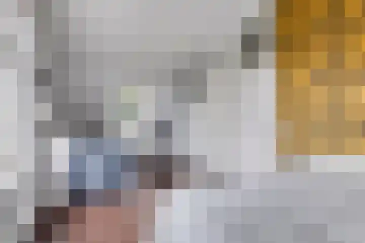 Langeweg 4 Zuidland thumbnail 19