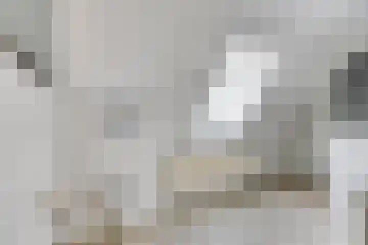 Langeweg 4 Zuidland thumbnail 21