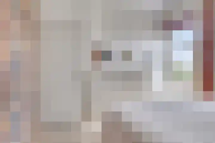 Langeweg 4 Zuidland thumbnail 25