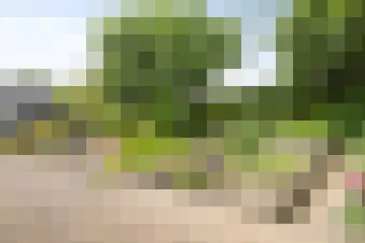 Langeweg 4 Zuidland thumbnail 33