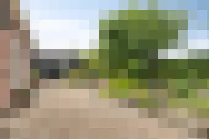 Langeweg 4 Zuidland thumbnail 34