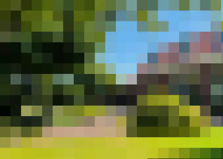 Langeweg 4 Zuidland thumbnail 4