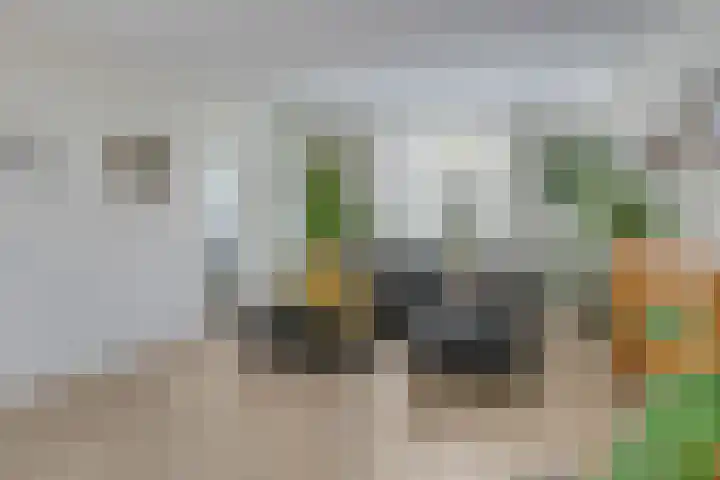 Langeweg 4 Zuidland thumbnail 5