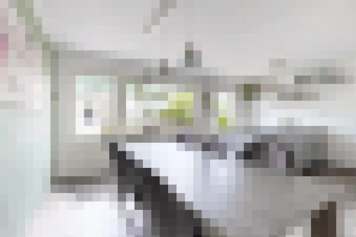 Langeweg 41 Fijnaart thumbnail 14