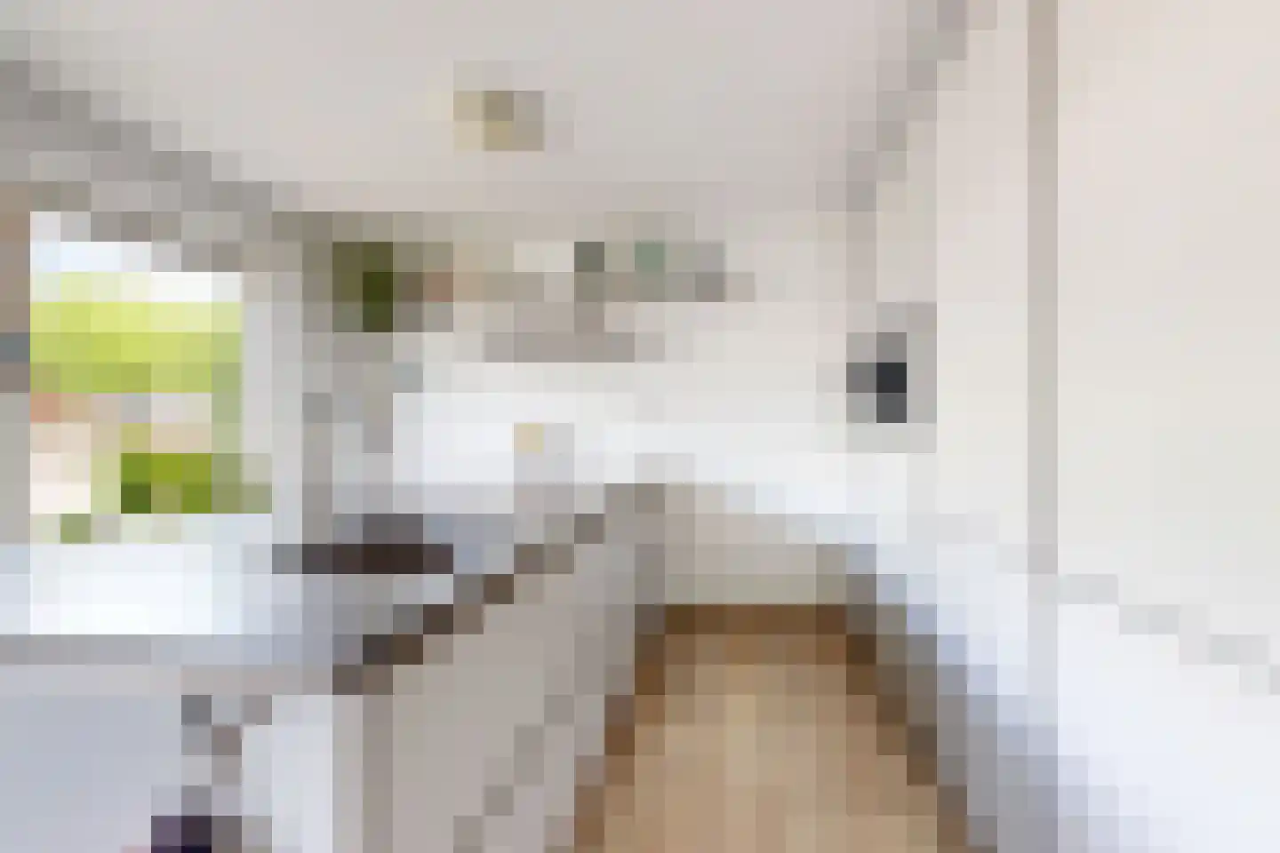 Langeweg 41 Fijnaart thumbnail 21