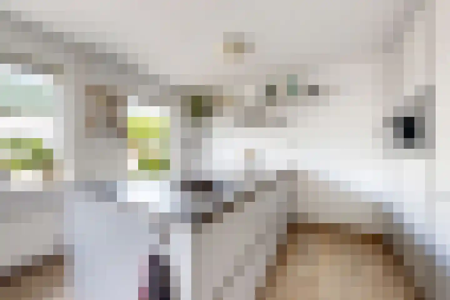 Langeweg 41 Fijnaart thumbnail 22