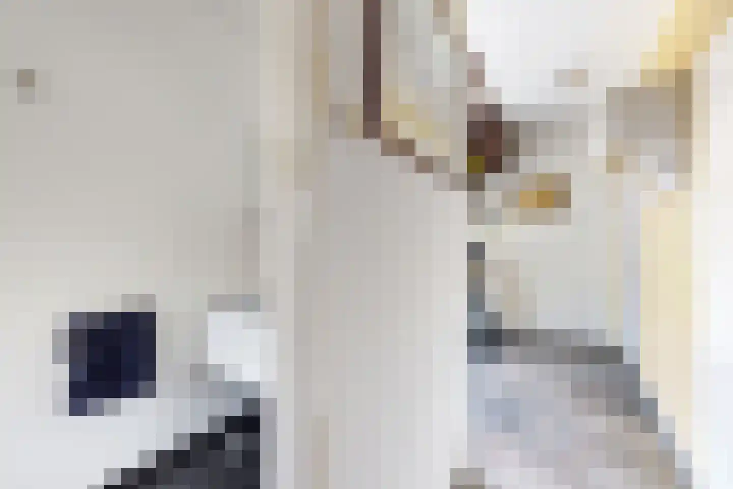 Langeweg 41 Fijnaart thumbnail 34