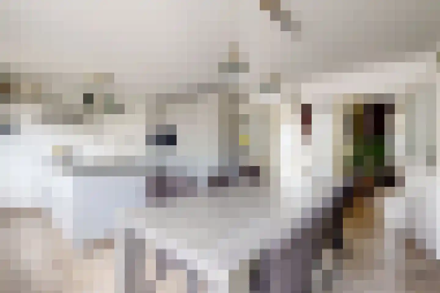 Langeweg 41 Fijnaart thumbnail 4