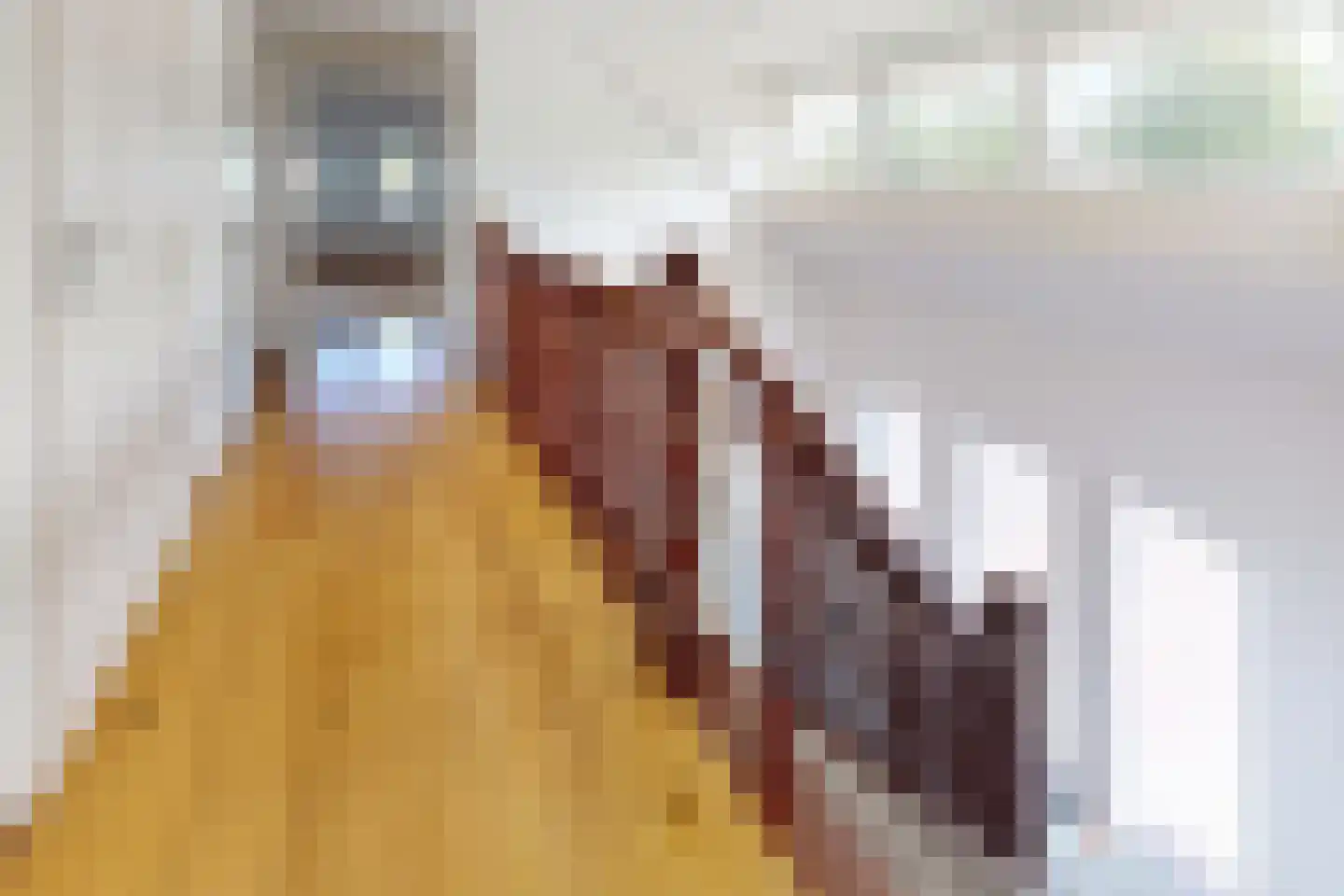 Langeweg 41 Fijnaart thumbnail 48