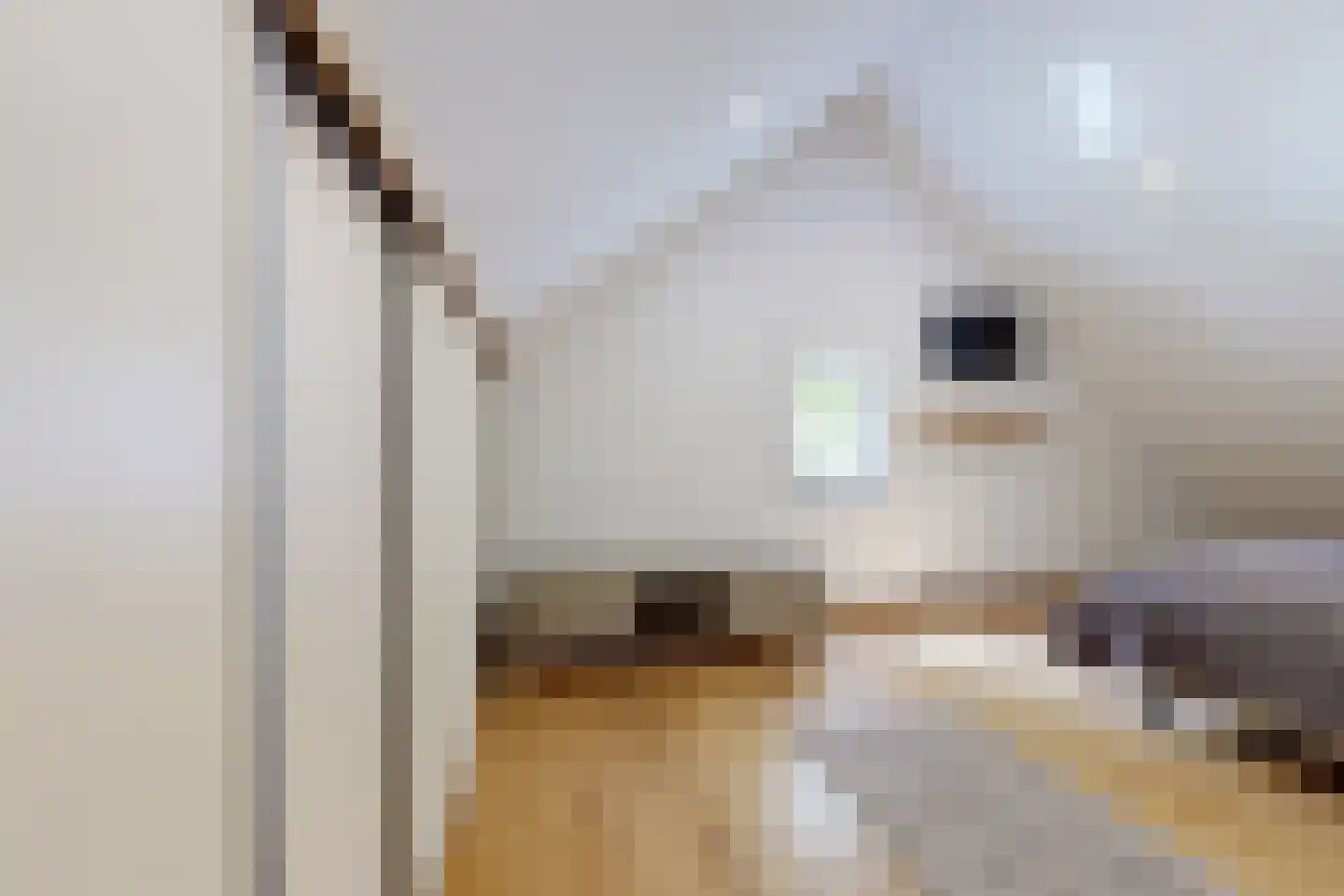 Langeweg 41 Fijnaart thumbnail 52