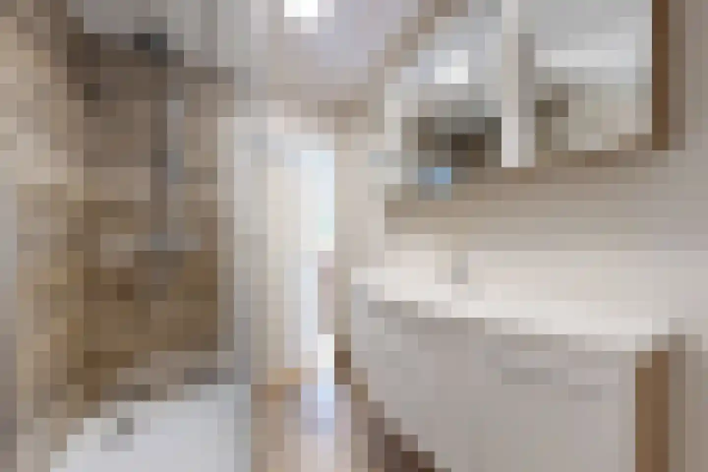 Langeweg 41 Fijnaart thumbnail 64