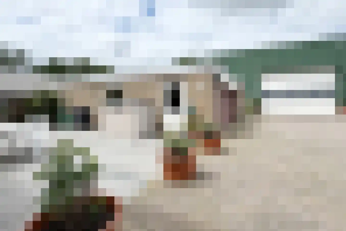 Langeweg 41 Fijnaart thumbnail 86