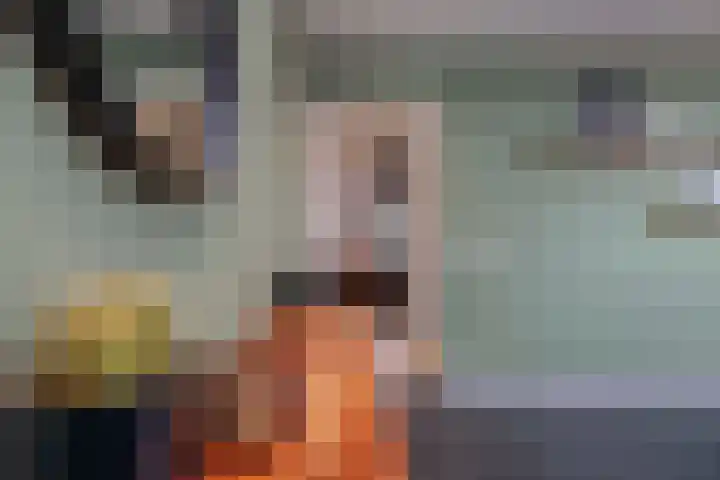 Langeweg 44 a Haaren thumbnail 19