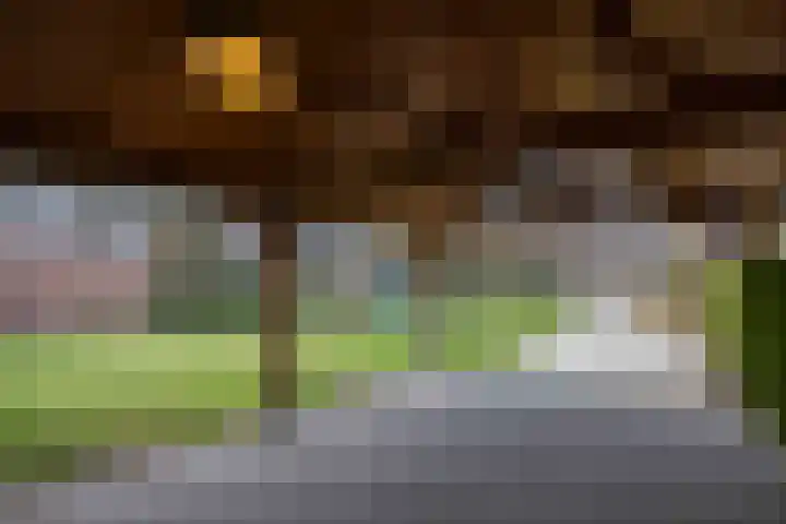 Langeweg 44 a Haaren thumbnail 46