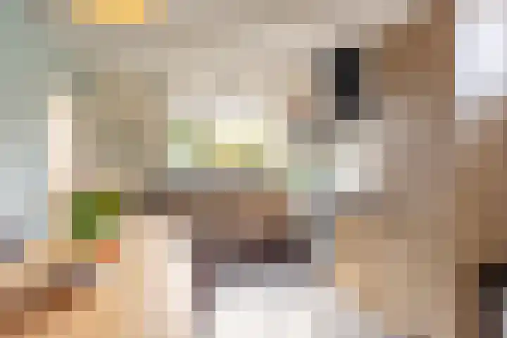 Langeweg 44 Rockanje thumbnail 13