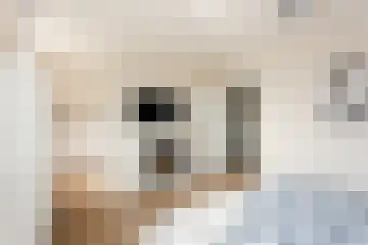 Langeweg 44 Rockanje thumbnail 25