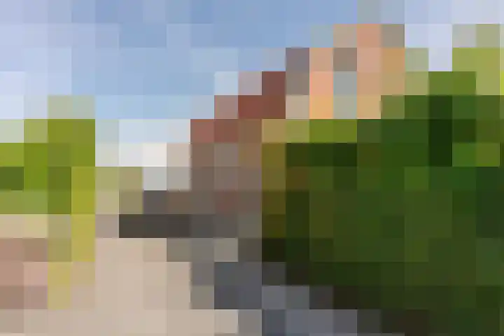 Langeweg 44 Rockanje thumbnail 35
