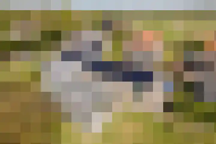 Langeweg 44 Rockanje thumbnail 42