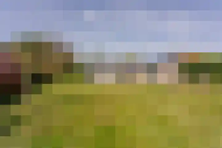 Langeweg 44 Rockanje thumbnail 44