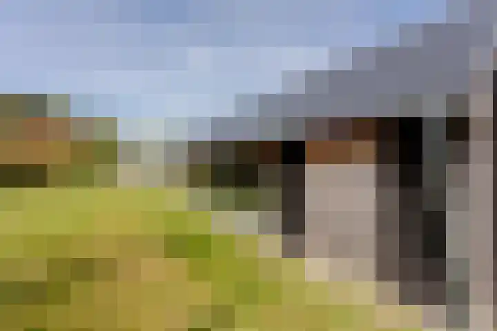 Langeweg 44 Rockanje thumbnail 47