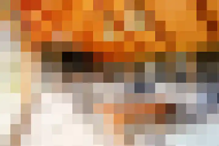 Langeweg 44 Rockanje thumbnail 48