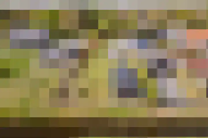 Langeweg 44 Rockanje thumbnail 52