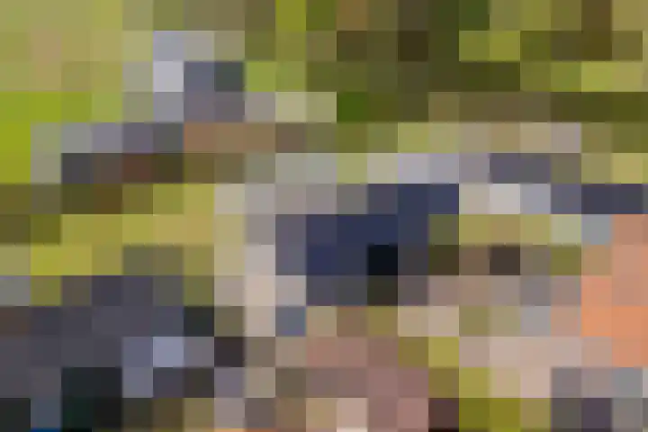 Langeweg 44 Rockanje thumbnail 53