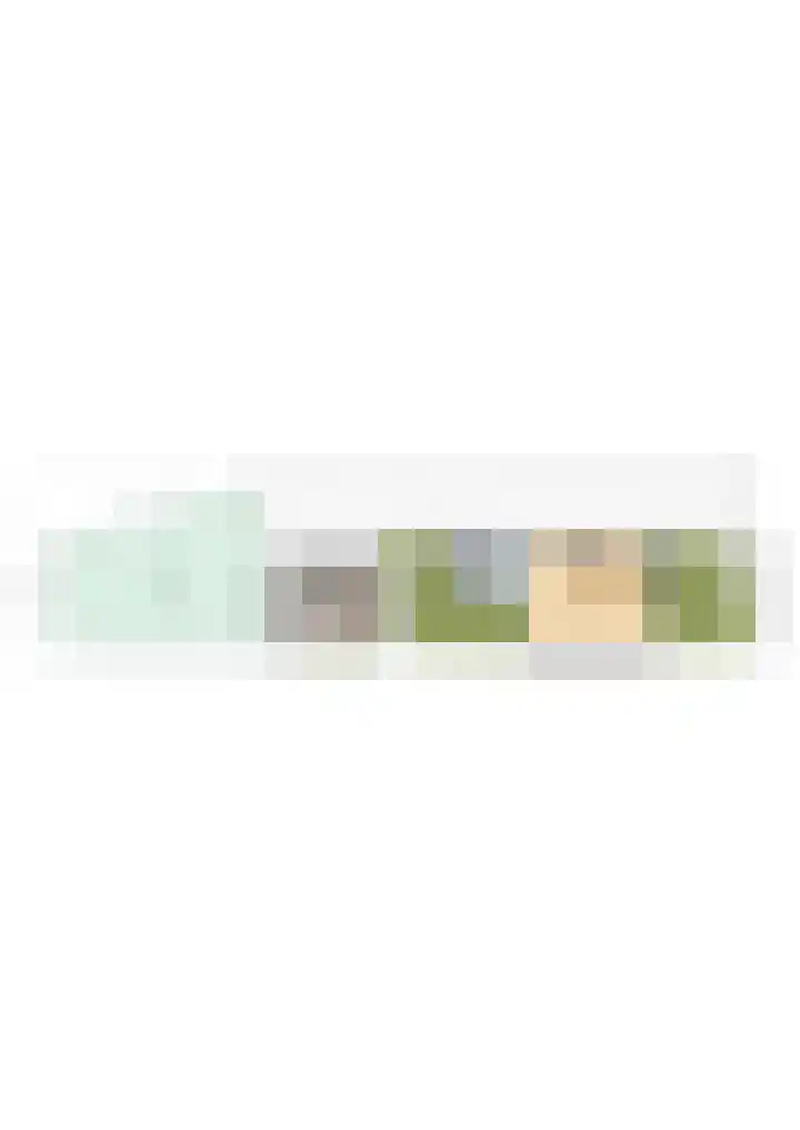 Langeweg 45 Sint Philipsland thumbnail 18